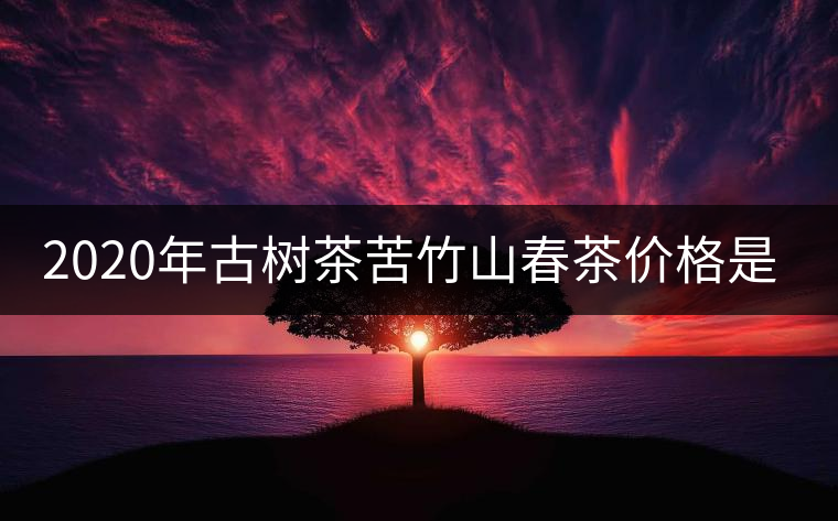 2020年古樹茶苦竹山春茶價格是多少？