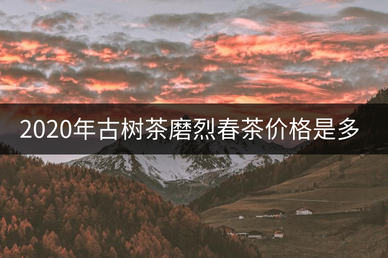 2020年古樹茶磨烈春茶價(jià)格是多少？