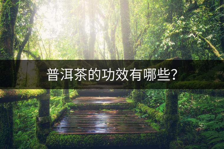 普洱茶的功效有哪些？