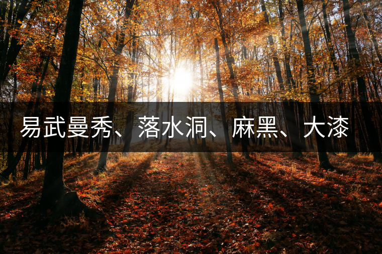 易武曼秀、落水洞、麻黑、大漆樹等你更喜歡哪個茶？