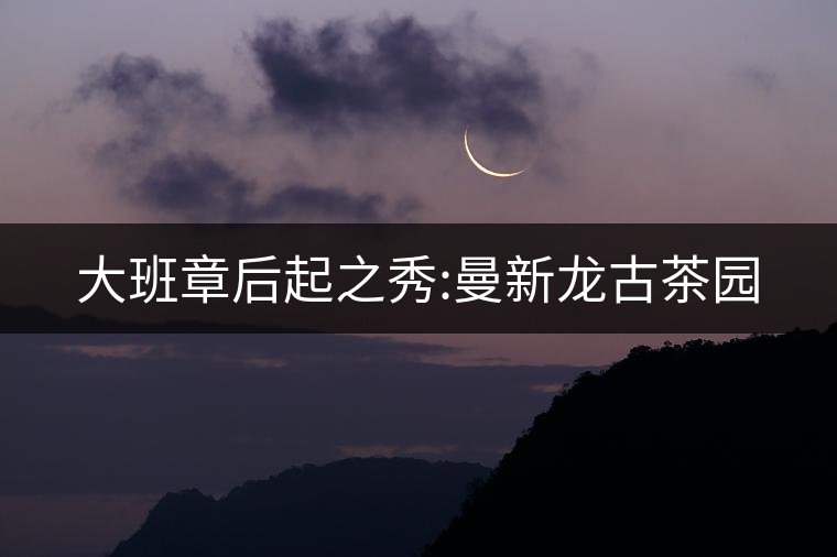 大班章后起之秀:曼新龍古茶園