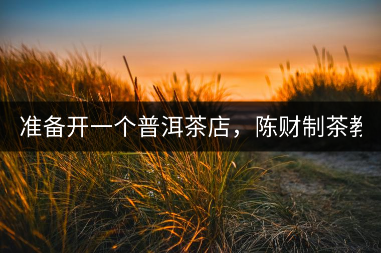 準備開一個普洱茶店，陳財制茶教你怎么做！