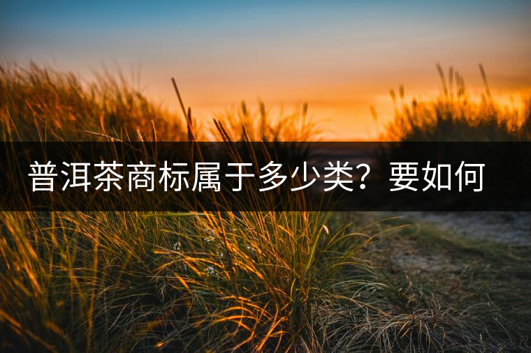 普洱茶商標屬于多少類？要如何注冊