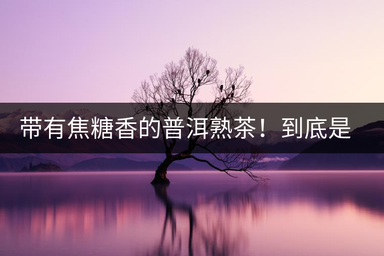 帶有焦糖香的普洱熟茶！到底是好是壞？