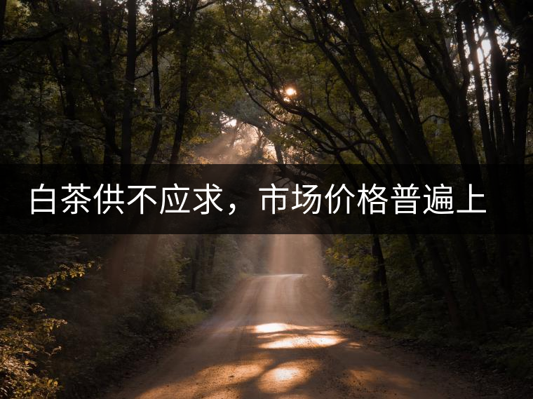 白茶供不應(yīng)求，市場價格普遍上漲？