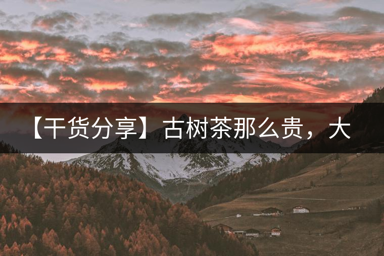 【干貨分享】古樹(shù)茶那么貴，大家為什么還在瘋狂追求？