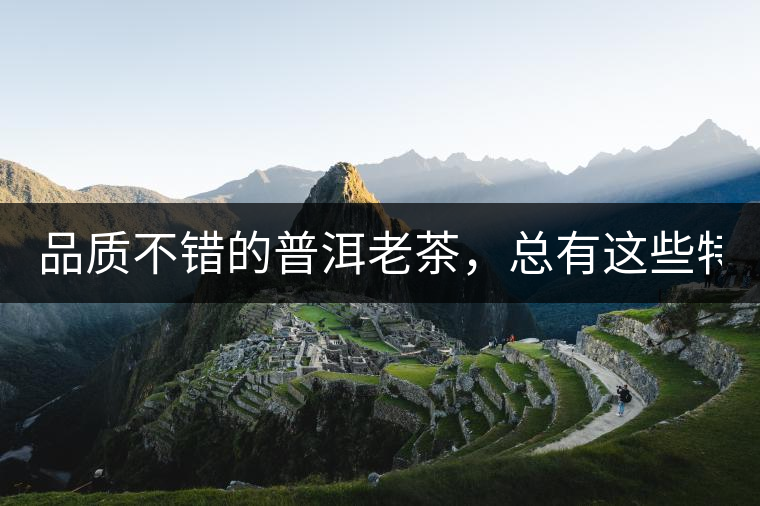 品質(zhì)不錯(cuò)的普洱老茶，總有這些特點(diǎn)！