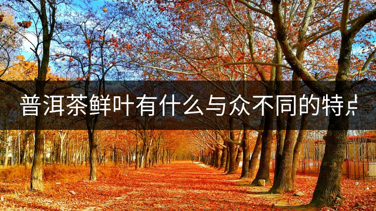 普洱茶鮮葉有什么與眾不同的特點(diǎn)？