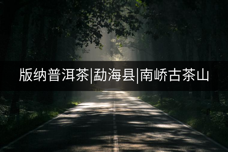 版納普洱茶|勐?？h|南嶠古茶山