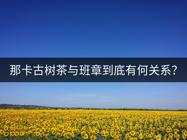 那卡古樹茶與班章到底有何關(guān)系？