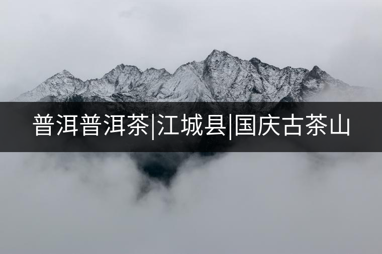 普洱普洱茶|江城縣|國(guó)慶古茶山