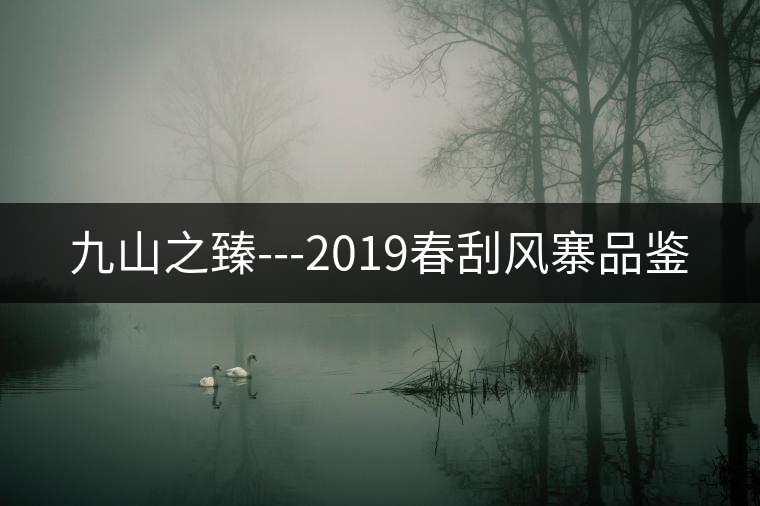 九山之臻---2019春刮風寨品鑒 九山之臻---2019春刮風寨品鑒