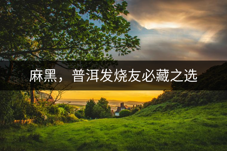 麻黑，普洱發(fā)燒友必藏之選