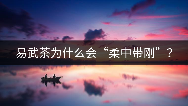 易武茶為什么會(huì)“柔中帶剛”？