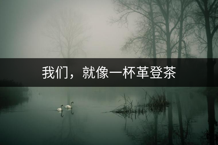 我們，就像一杯革登茶