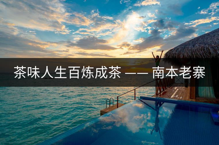 茶味人生百煉成茶 —— 南本老寨 茶味人生百煉成茶 —— 南本老寨