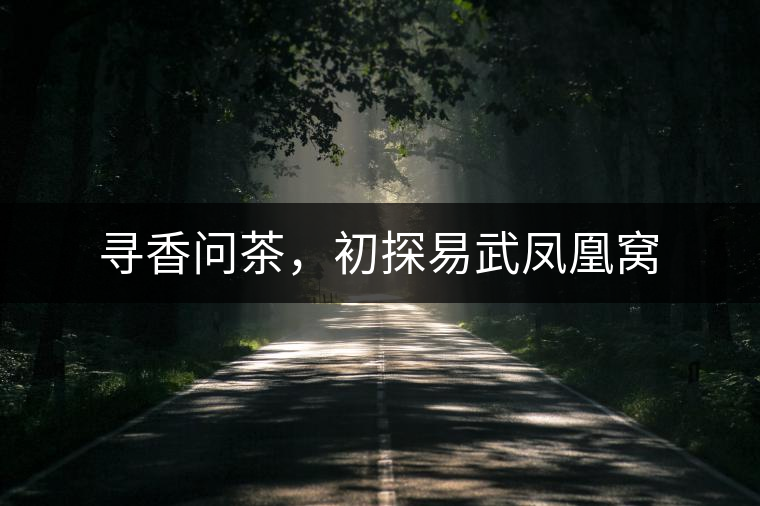 尋香問茶，初探易武鳳凰窩