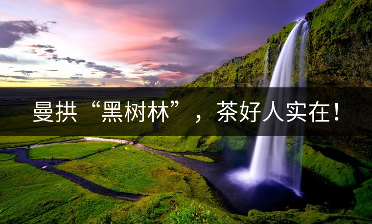 曼拱“黑樹林”，茶好人實在！