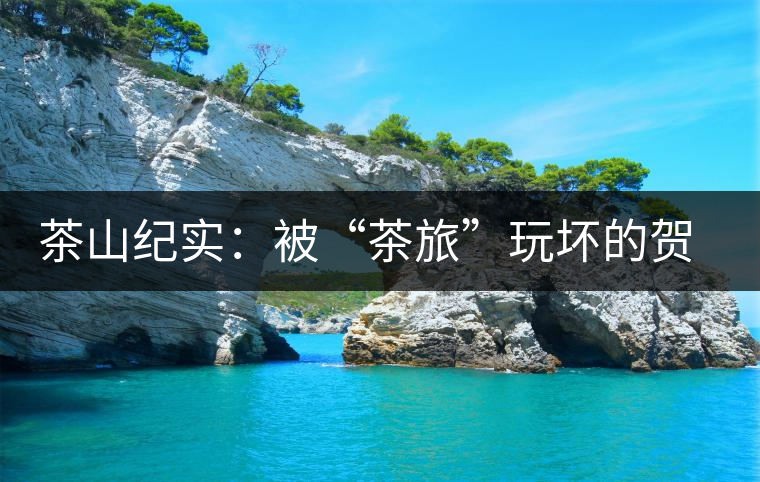 茶山紀(jì)實(shí):被“茶旅”玩壞的賀開古茶園 茶山紀(jì)實(shí):被“茶旅”玩壞的賀開古茶園