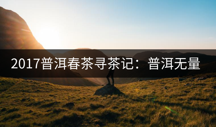 2017普洱春茶尋茶記：普洱無(wú)量山系列