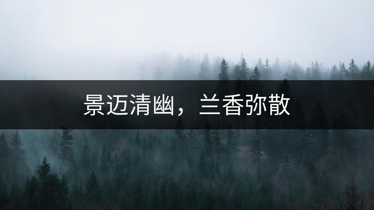 景邁清幽，蘭香彌散
