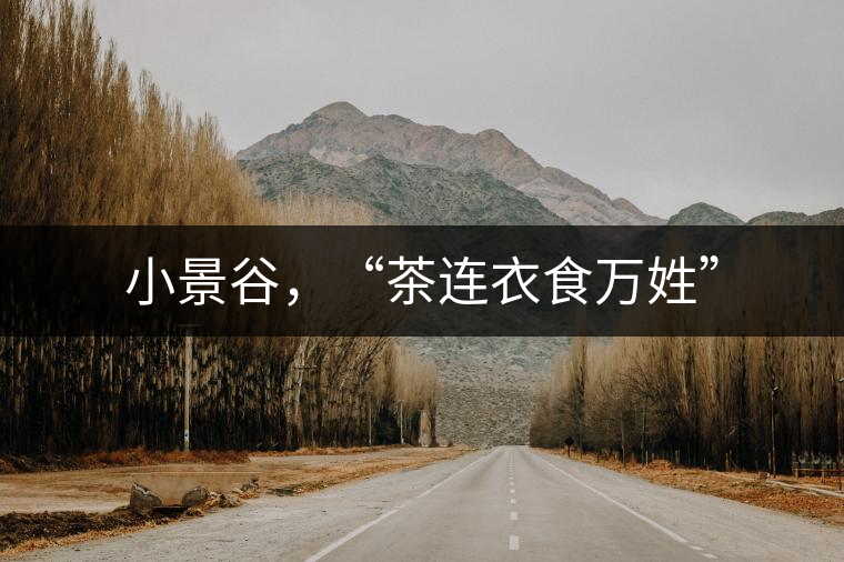小景谷，“茶連衣食萬姓”