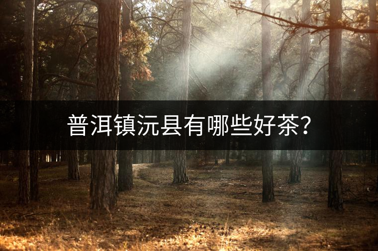 普洱鎮(zhèn)沅縣有哪些好茶？