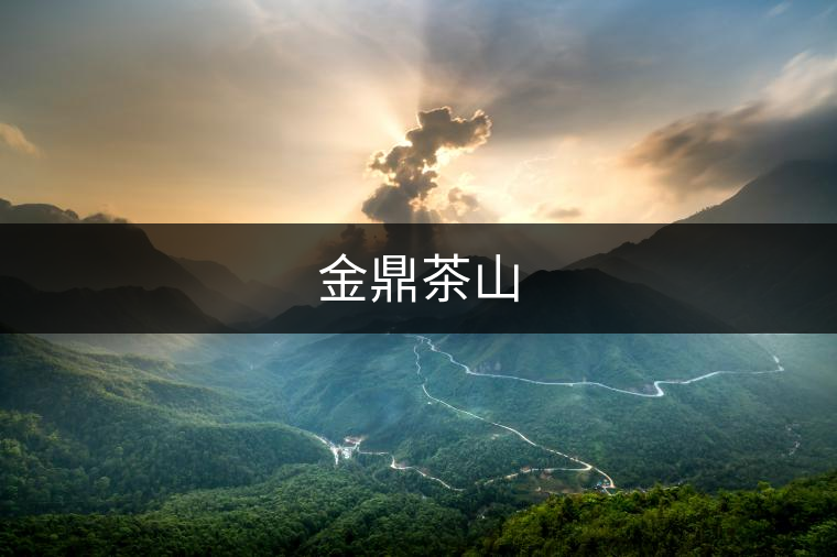 金鼎茶山 金鼎茶山