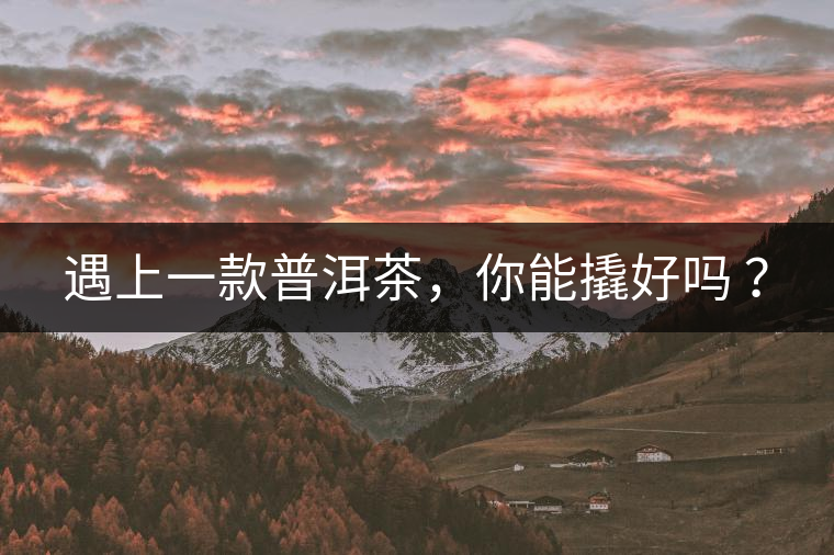 遇上一款普洱茶，你能撬好嗎 ？