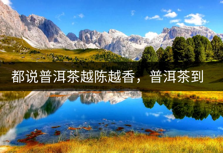 都說普洱茶越陳越香，普洱茶到底應該存多久？