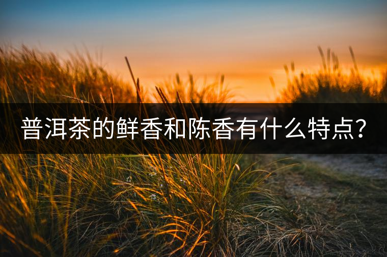 普洱茶的鮮香和陳香有什么特點(diǎn)？