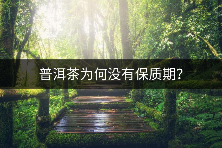 普洱茶為何沒有保質(zhì)期？