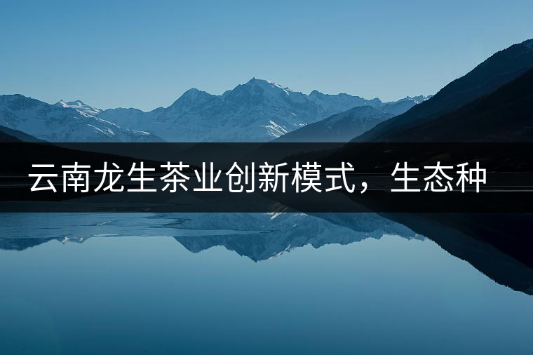 云南龍生茶業(yè)創(chuàng)新模式，生態(tài)種植