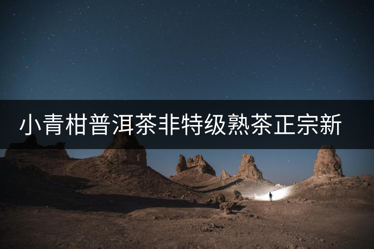 小青柑普洱茶非特級熟茶正宗新會陳皮柑普茶小青桔普茶罐裝茶葉