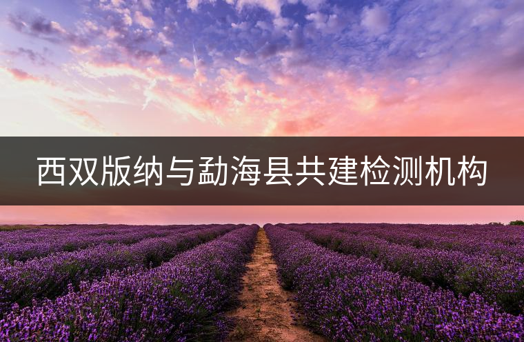 西雙版納與勐?？h共建檢測機構