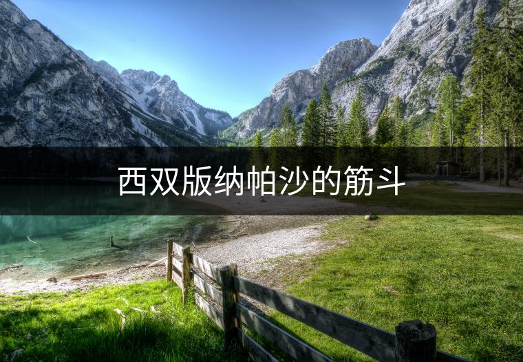 西雙版納帕沙的筋斗 西雙版納帕沙的筋斗