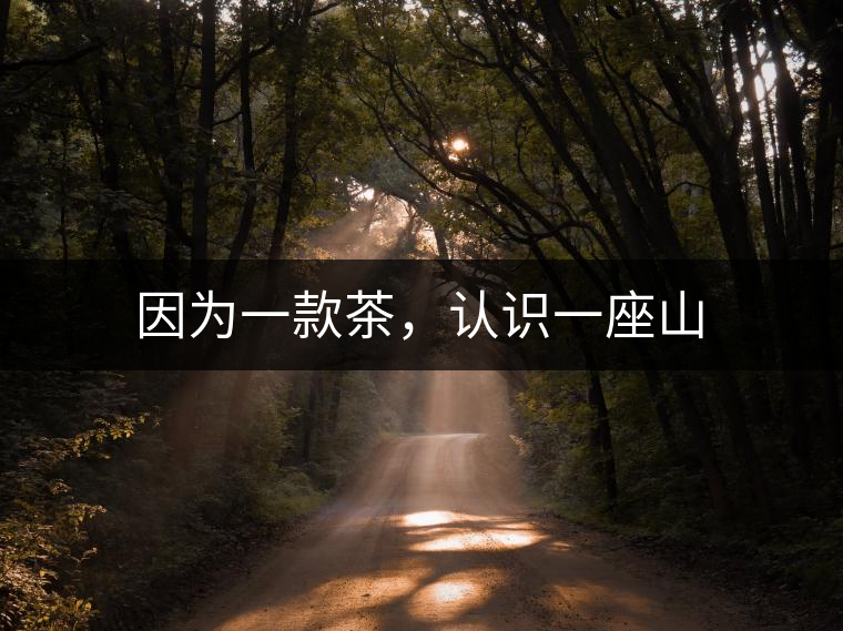 因為一款茶，認識一座山
