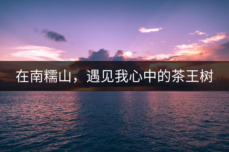 在南糯山，遇見(jiàn)我心中的茶王樹(shù)