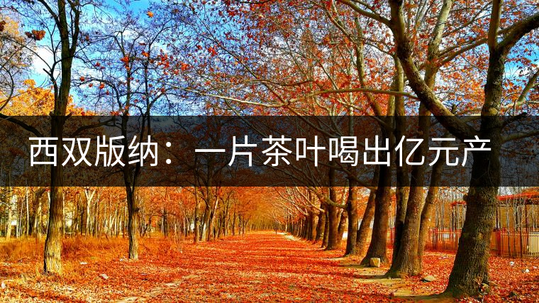 西雙版納:一片茶葉喝出億元產(chǎn)業(yè) 西雙版納:一片茶葉喝出億元產(chǎn)業(yè)