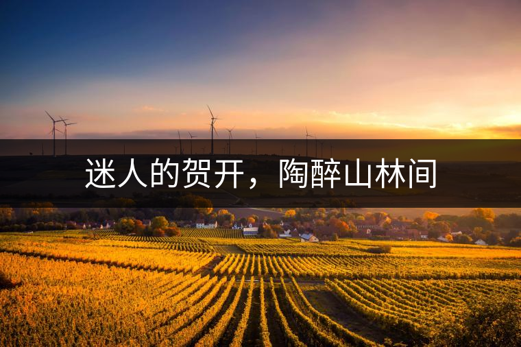 迷人的賀開(kāi)，陶醉山林間