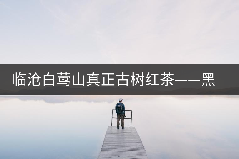 臨滄白鶯山真正古樹(shù)紅茶——黑美人