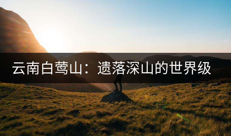 云南白鶯山：遺落深山的世界級(jí)“茶博物館”