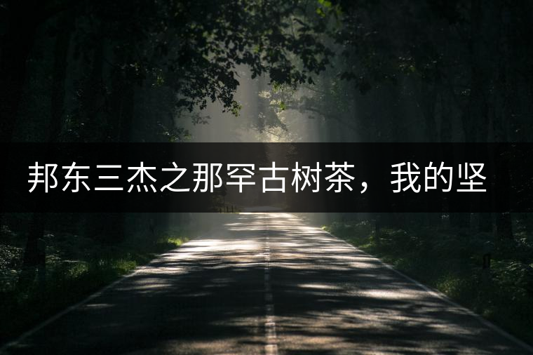 邦東三杰之那罕古樹(shù)茶，我的堅(jiān)持