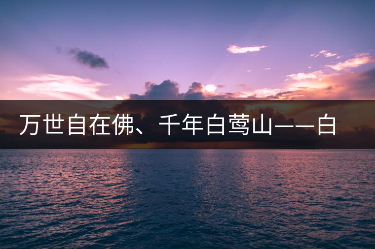 萬世自在佛、千年白鶯山——白鶯山古樹茶特點