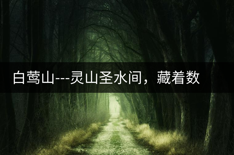 白鶯山---靈山圣水間，藏著數(shù)不盡的佛茶佳話