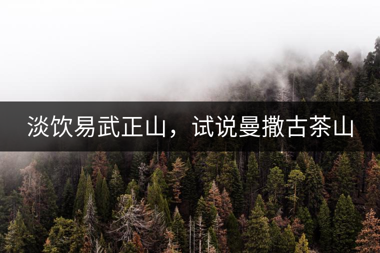 淡飲易武正山，試說(shuō)曼撒古茶山