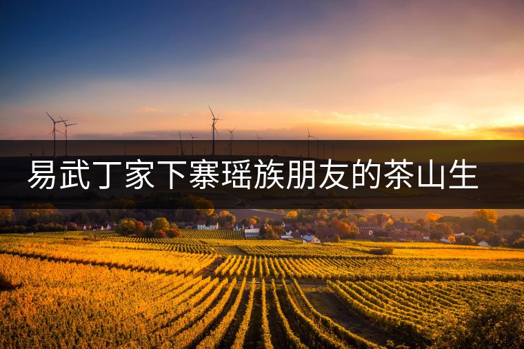 易武丁家下寨瑤族朋友的茶山生活