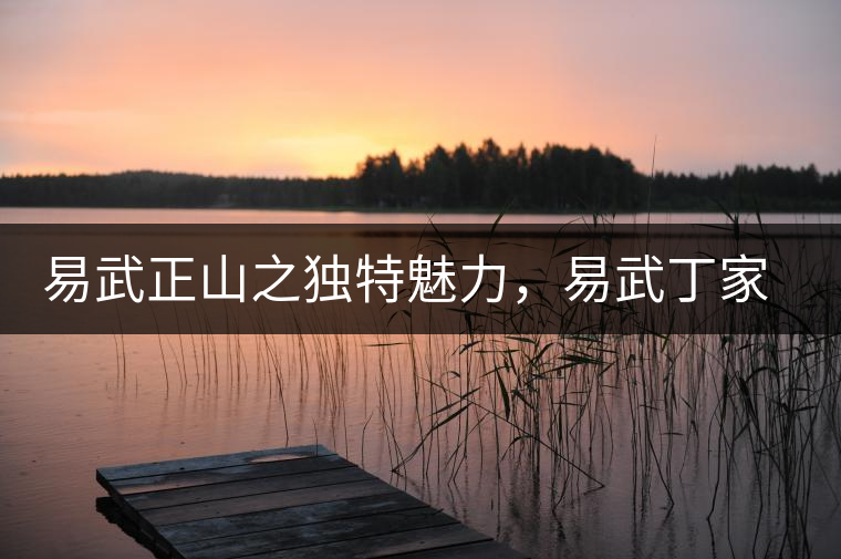 易武正山之獨特魅力，易武丁家寨介紹品鑒