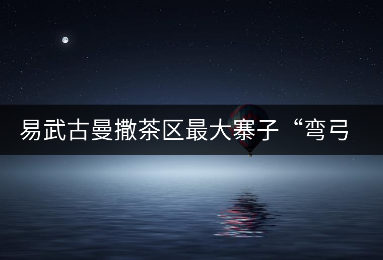 易武古曼撒茶區(qū)最大寨子“彎弓”丁家寨茶山實錄 易武古曼撒茶區(qū)最大寨子“彎弓”丁家寨茶山實錄