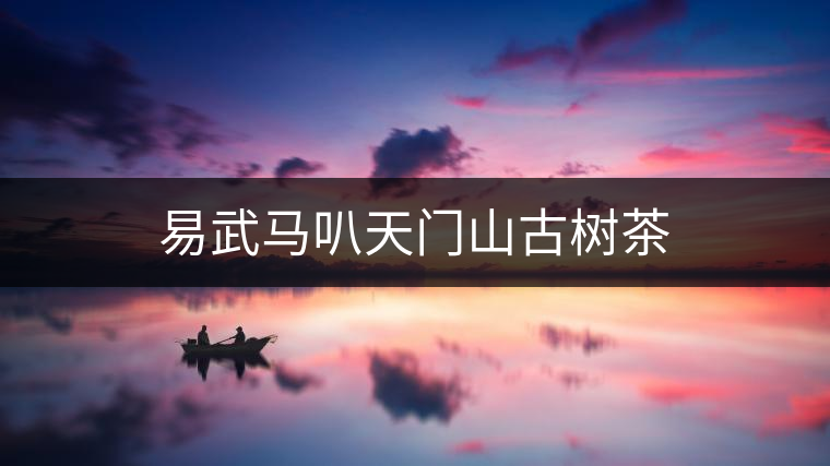 易武馬叭天門(mén)山古樹(shù)茶 易武馬叭天門(mén)山古樹(shù)茶